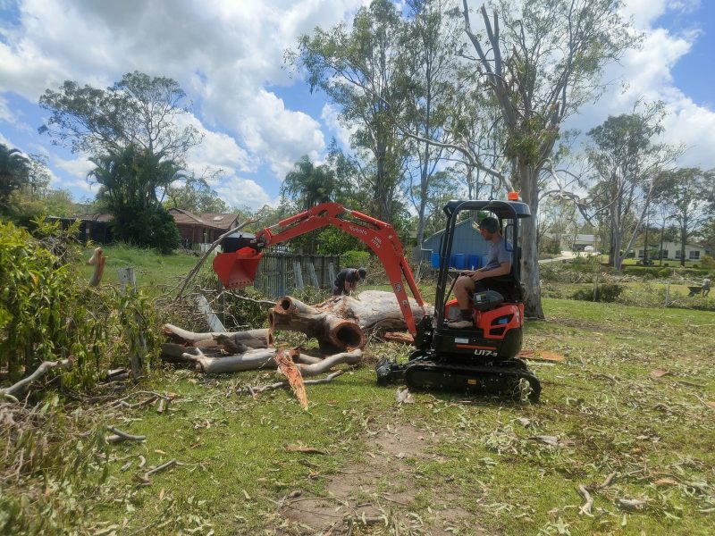 Landscaping — Palm Beach #4